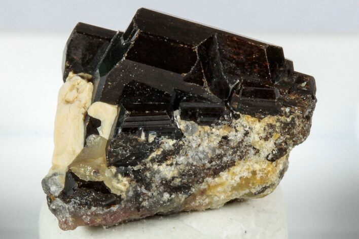 Lustrous Chocolate Fluor-Buergerite Crystals - Mexico #345041